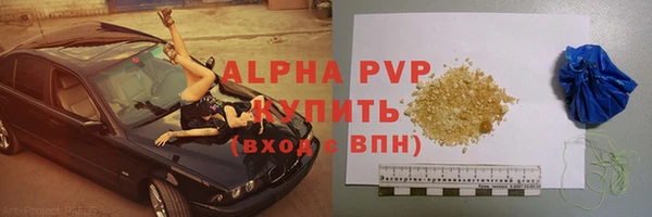 бошки Богданович
