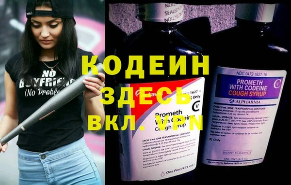 бошки Богданович