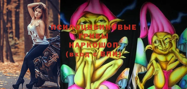 тгк Богородицк