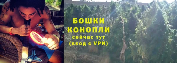 тгк Богородицк