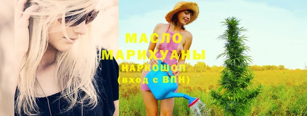 тгк Богородицк