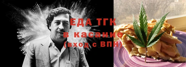 тгк Богородицк