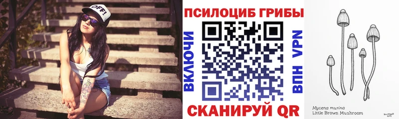 Псилоцибиновые грибы мухоморы  MEGA зеркало  Дедовск  купить наркотики сайты 